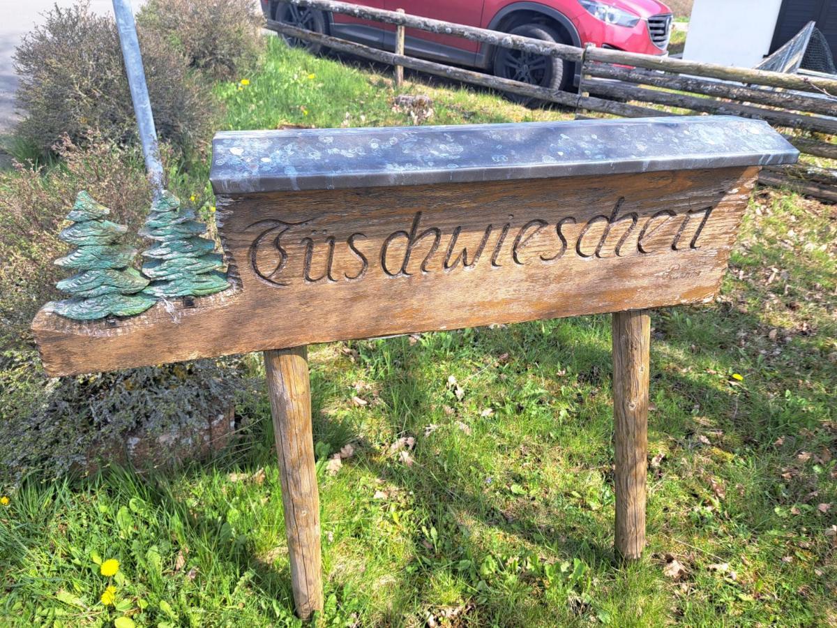 Gönnersdorf Haus Eifelblickヴィラ エクステリア 写真